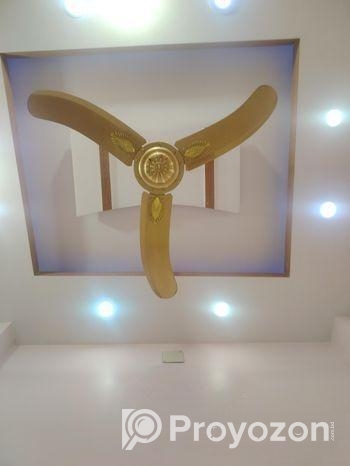 পাকিস্তানি ফ্যান