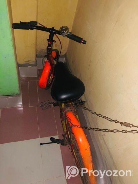 CYcle choto baccah der