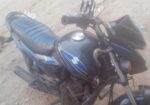 Suzuki Hayate . 2021
