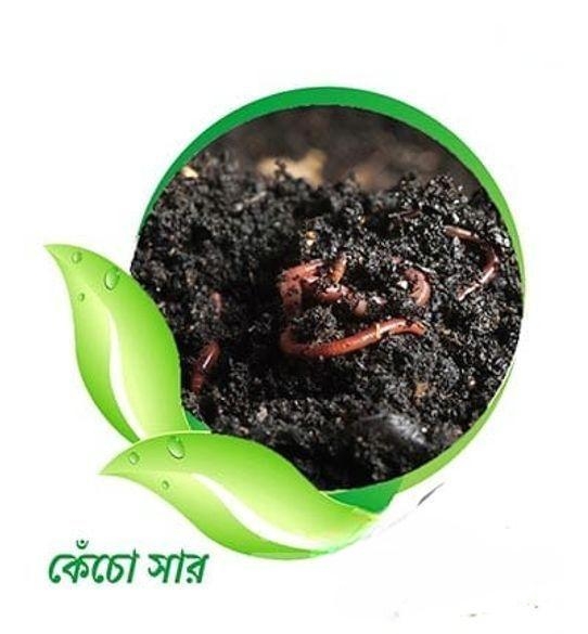 ভার্মি কম্পোস্ট সার