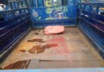 Tata ACE EX2 pikup 2017