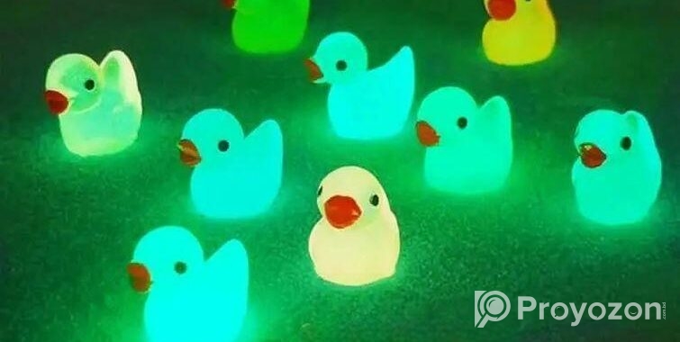 Radium duck