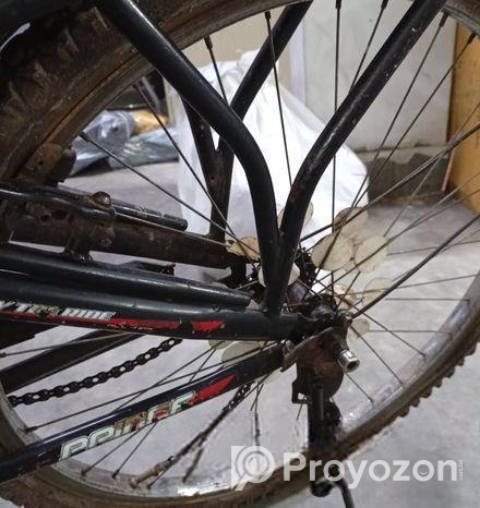 Prince Cycle 26″ for sell