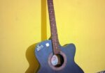 Signature Topaz Acoustic Guitar