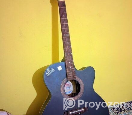 Signature Topaz Acoustic Guitar