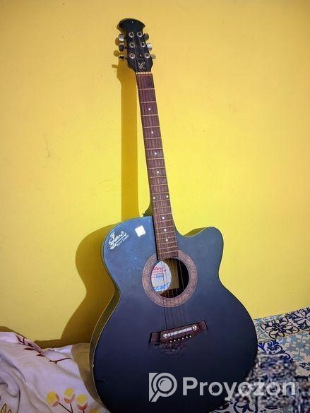 Signature Topaz Acoustic Guitar