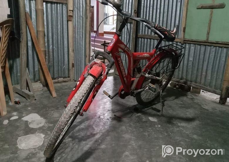 Cycle for sale