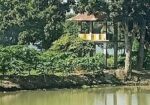 নরসিংদীতে ১০০ বিঘা জমিতে পুকুর সহ বাগান বাড়ী বিক্র