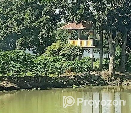 নরসিংদীতে ১০০ বিঘা জমিতে পুকুর সহ বাগান বাড়ী বিক্র