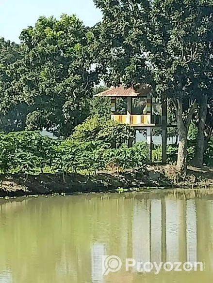 নরসিংদীতে ১০০ বিঘা জমিতে পুকুর সহ বাগান বাড়ী বিক্র