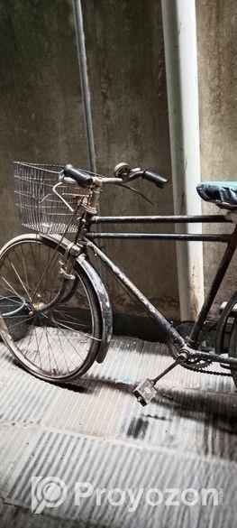 ফনিক্স সাইকেল