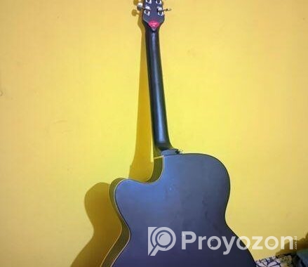 Signature Topaz Acoustic Guitar