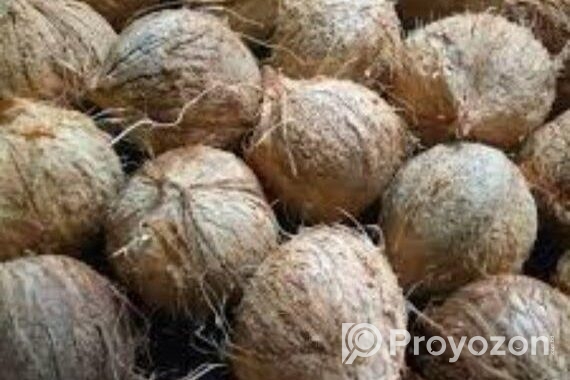 নারিকেল বিক্রয় করবো