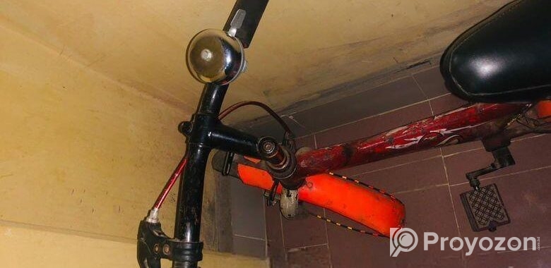 CYcle choto baccah der