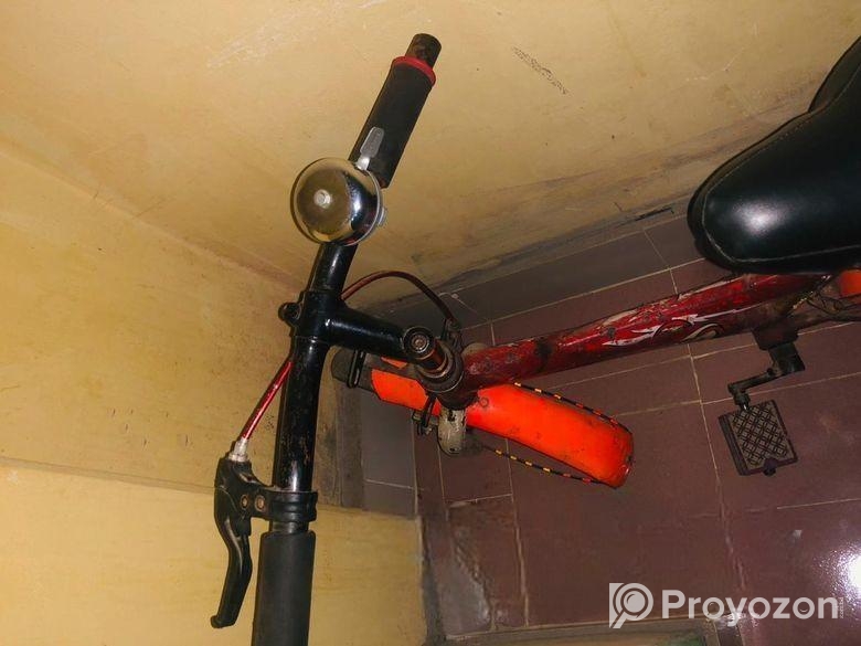 CYcle choto baccah der