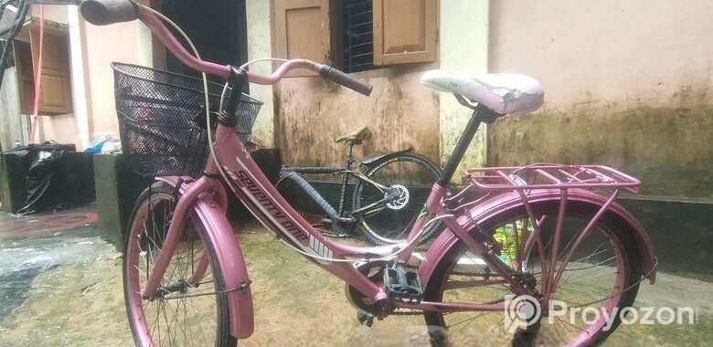 বাইসাইকেলে
