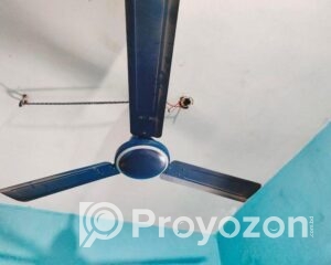 fitted-27_2025-08-05_16-32-17-Copy