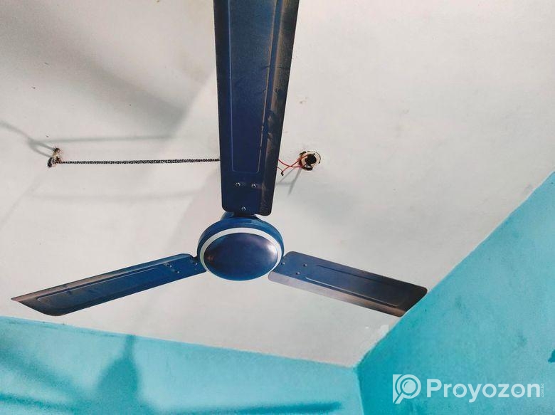 ফ্যান বিক্রি একদাম