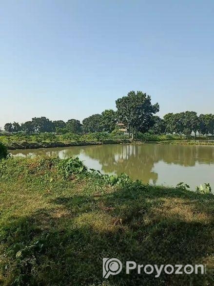 নরসিংদীতে ১০০ বিঘা জমিতে পুকুর সহ বাগান বাড়ী বিক্র