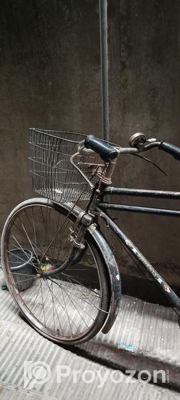 ফনিক্স সাইকেল