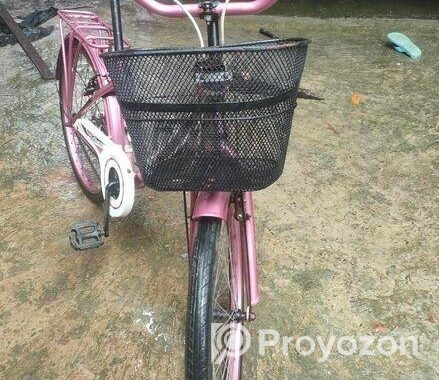 বাইসাইকেলে