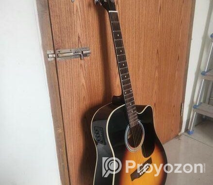 Acoustic guitar