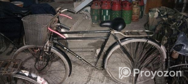 Phoenix Bicycle for sale