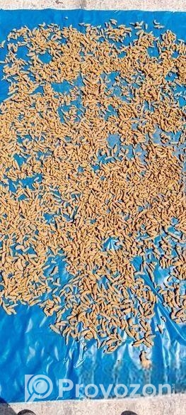 সেরা মরিচের গুঁড়া