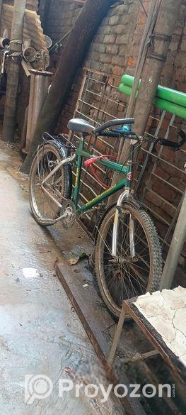 Bicycle For Sale