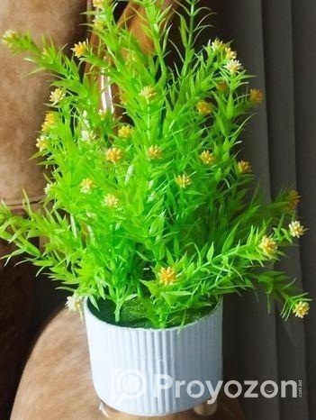 একটি সুন্দর ফুলের শোপিস