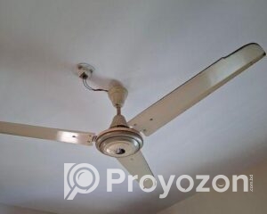 fitted-2_2025-08-02_13-13-55