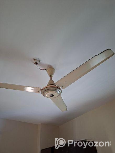 সিলিং ফ্যান ৫৬ ইঞ্চি