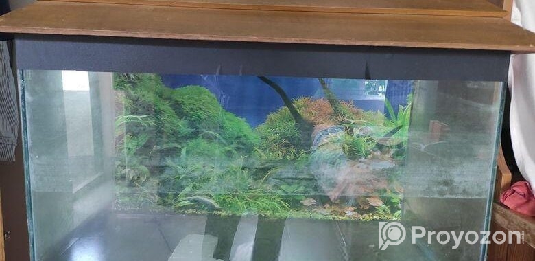 Aquarium 2.5 Fit