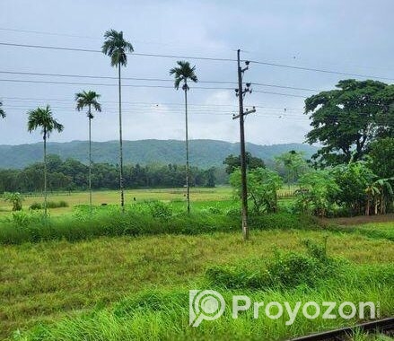 মানুষের প্রতিকৃতি জলরঙ এ এঁকে দেয়া হয়
