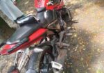 H Power Max-Z ` 2022