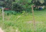 Land For Sell