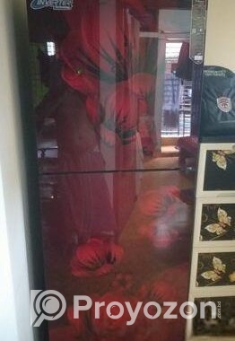 Refrigerator Walton