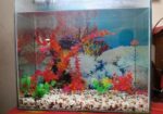 Aquarium Sell