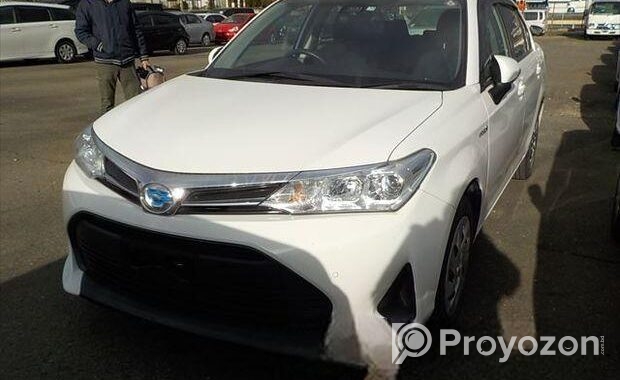 Toyota Axio EX White 4/64000 km 2019