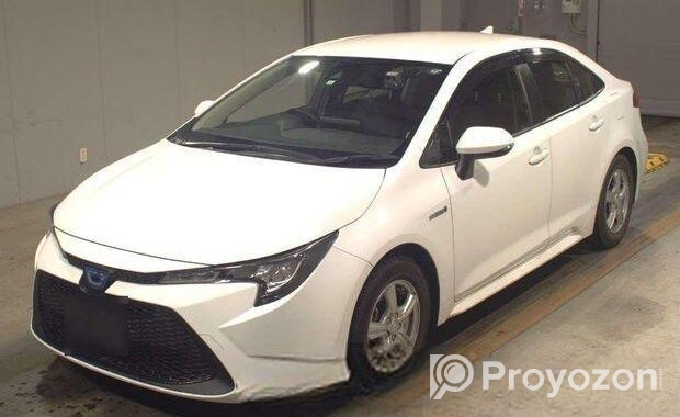 Toyota Corolla Pre Order 2020
