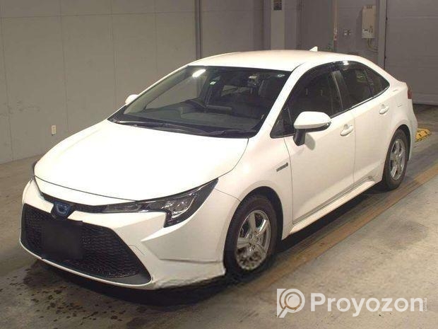 Toyota Corolla Pre Order 2020