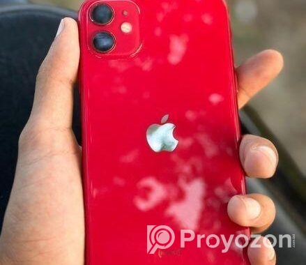 Apple iPhone 11 ` (Used)
