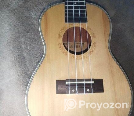 Yamaha Uk24 ইউকেলে