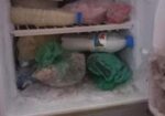 Singer Fridge For Sale