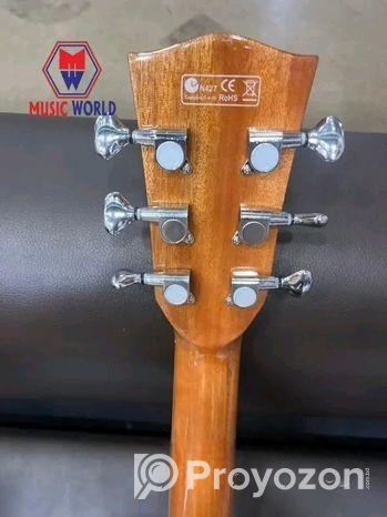 আকর্ষণীয় গিটার | AdamSmith Acoustic Guitar