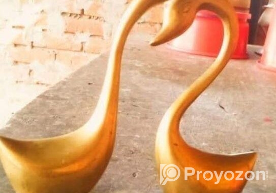 শো পিচ