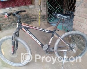 fitted-30_2025-08-05_14-23-40