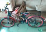 Duronto Cycle