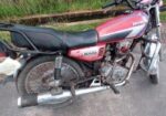 Walton Fusion 125 , 2012