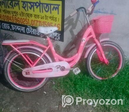 সুন্দর একটি সাইকেল